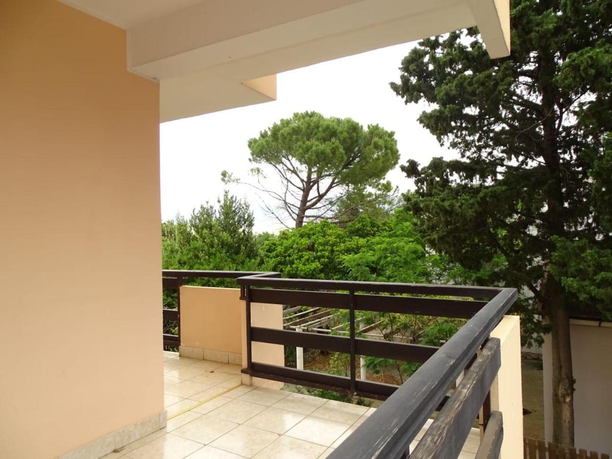 Zana Apartments Stan Trigraci Ngoại thất bức ảnh